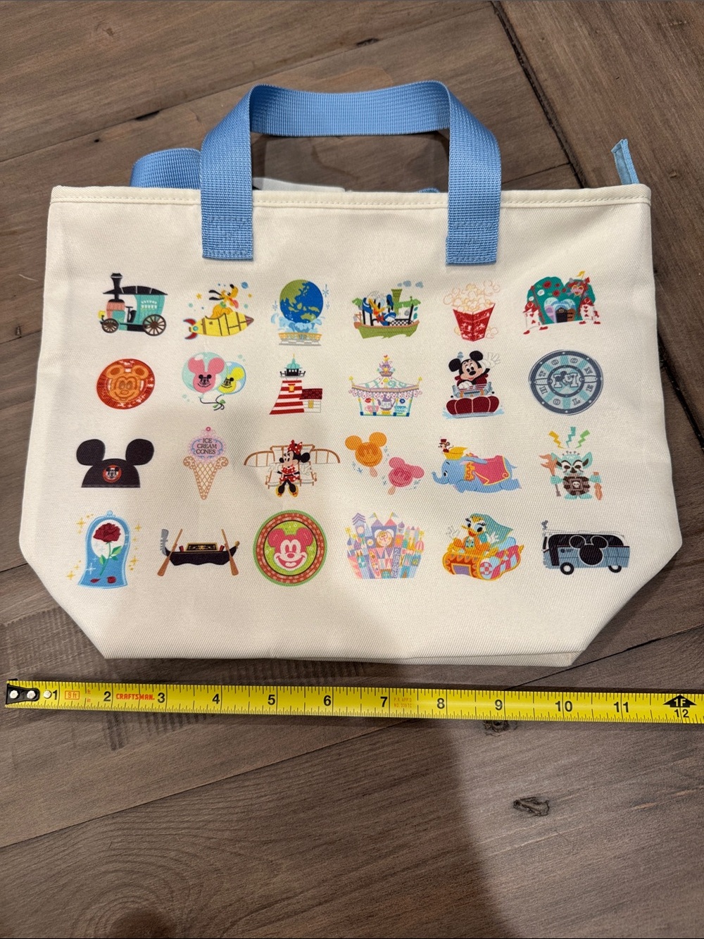 Tokyo Disney thin lunch bag tote